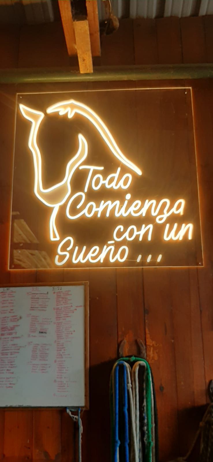 Todo Comienza con un Sueño - Neón artístico con diseño de caballo